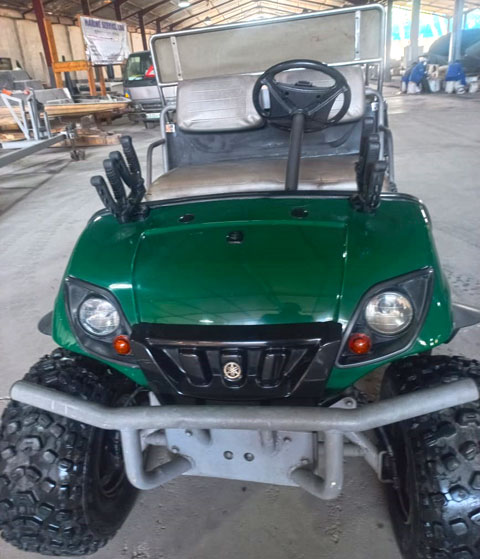 Yamaha UMAX Utility front view